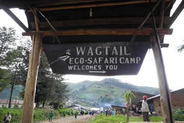 wagtail-eco-safari-camp